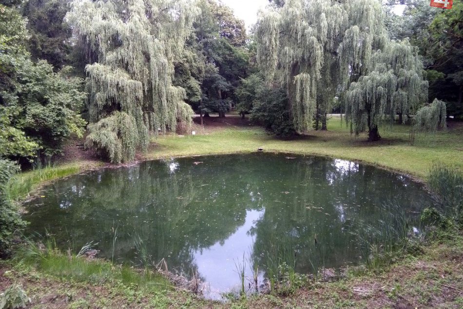 Ilustračný obrázok k článku Pustnúci areál na Borovej hore previedol BBSK na mesto Zvolen. Čo sa s ním zamýšľa?