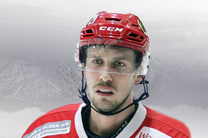 Ilustračný obrázok k článku Pod Tatry smeruje ďalší Švéd: Obranné rady má vystužiť Karlsson