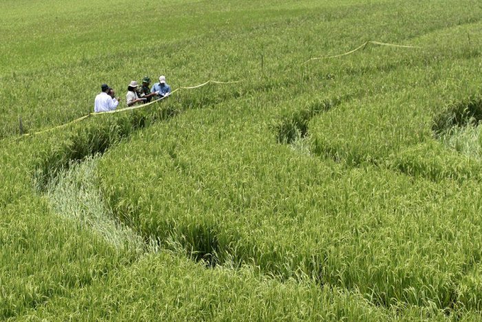 Ilustračný obrázok k článku Trnavskí ufológovia majú plné ruky práce: Rôzne úkazy im hlásia z celého Slovenska