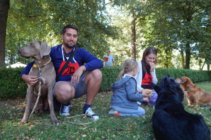 Ilustračný obrázok k článku Žiarsky chlpáč na FOTKÁCH a VIDEU: Uštekaná atmosféra v parku