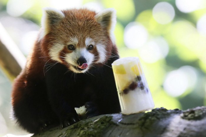 Ilustračný obrázok k článku RANNÁ ŠTVORKA: Pracovný týždeň začína slnečným počasím, meniny má Berta