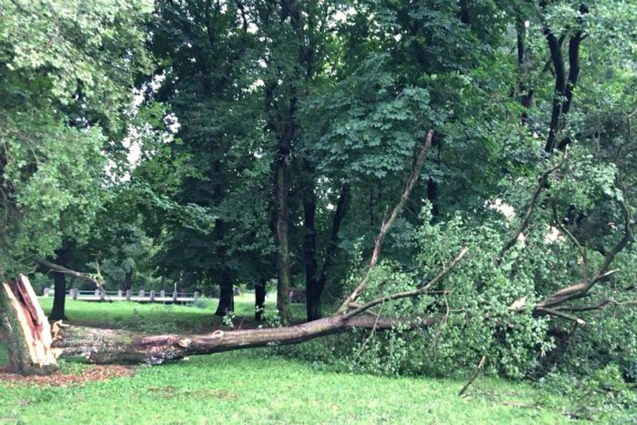 Ilustračný obrázok k článku V Zámockej záhrade pretrváva kalamitný stav: Mesto odporúča zvážiť návštevu