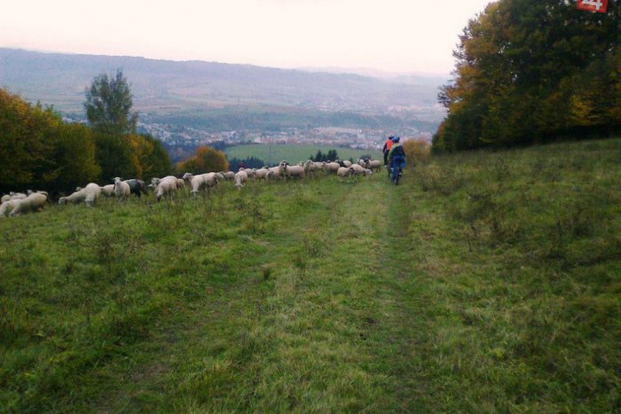 Ilustračný obrázok k článku Horehronie bude bližšie k turistom, postará sa o to aj obec Bystrá