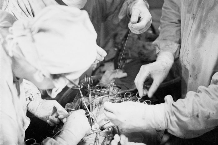 Ilustračný obrázok k článku RANNÁ ŠTVORKA: Pred 50 rokmi v Bratislave uskutočnili prvú transplantáciu srdca v strednej Európe
