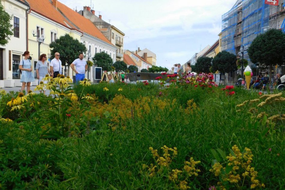 Ilustračný obrázok k článku Bez nárečia by Trnava nebola Trnavou: Hľadá sa TO naše najobľúbenejšie slovíčko!