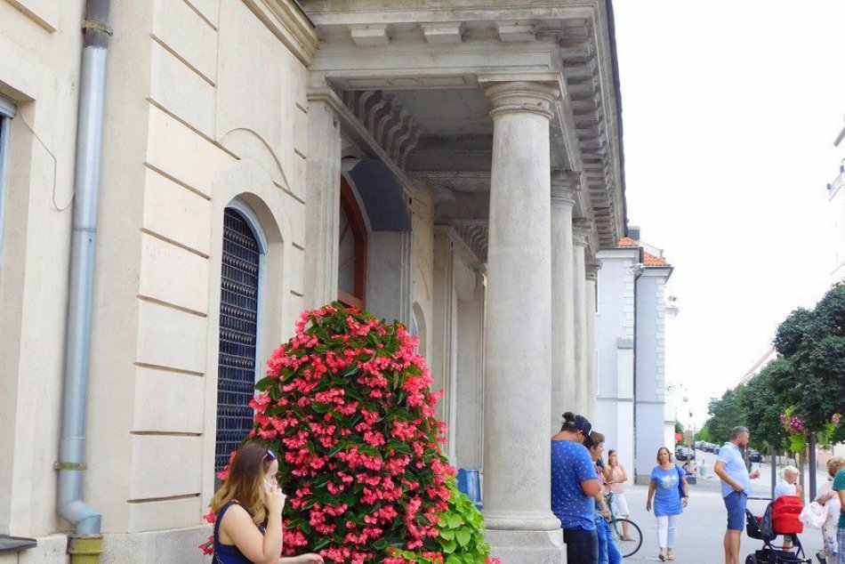 Ilustračný obrázok k článku Týždeň v Trnave a okolí v kocke: Témy, ktoré najviac rezonovali