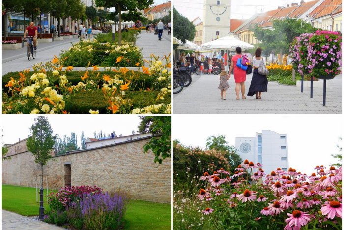 Ilustračný obrázok k článku Trnava ako pestrofarebný koberec: Mesto vykvitlo do krásy, FOTO