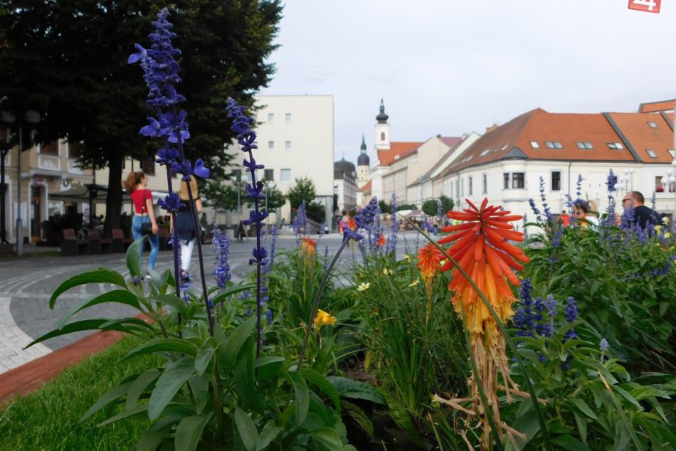 Ilustračný obrázok k článku Trnavské hlášky, ktoré  vyčaria úsmev: Takéto príhody vznikajú len u nás!