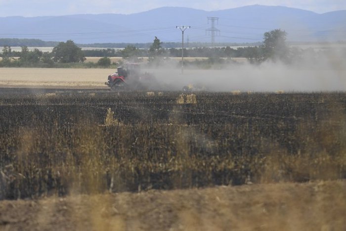 Ilustračný obrázok k článku FOTO: Požiar obilia vo Veľkej Ide zrejme spôsobili deti