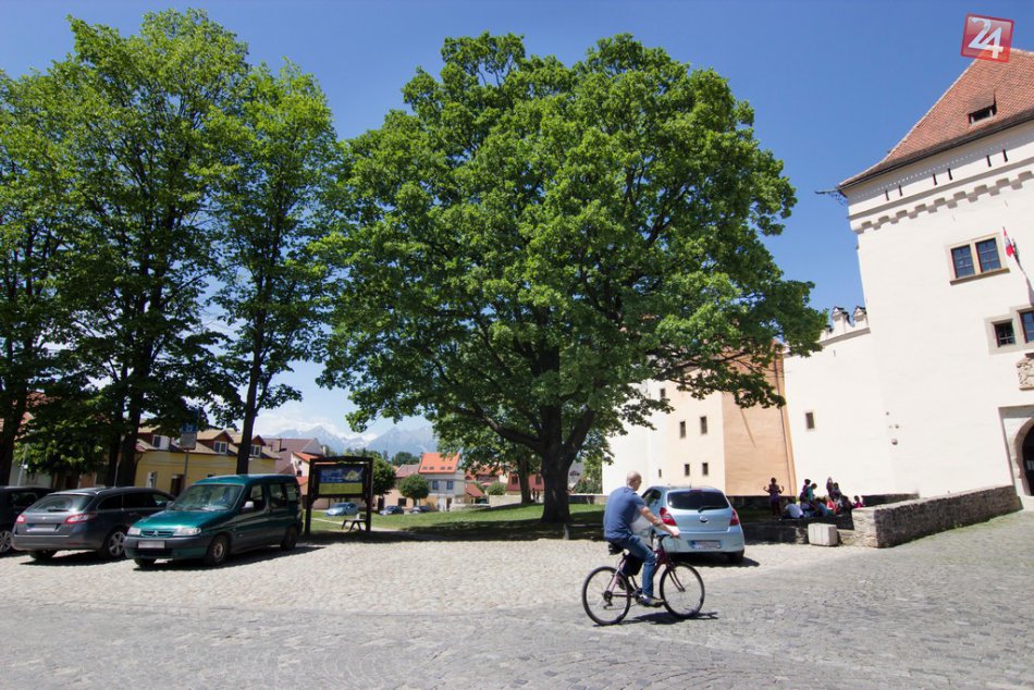 Ilustračný obrázok k článku Strom roka 2018: O vaše hlasy sa uchádza aj 113-ročný Dub letný z Kežmarku