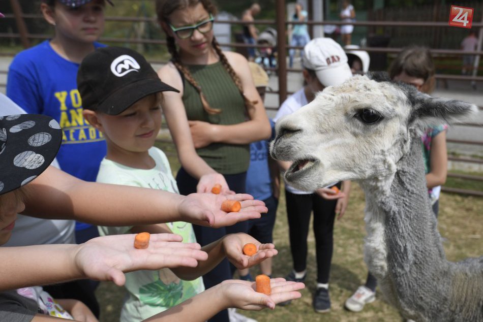 Ilustračný obrázok k článku Kde dať deti počas jarných prázdnin? Ponuka rôznych aktivít je bohatá