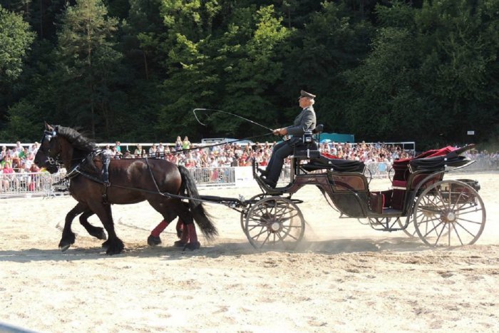 Ilustračný obrázok k článku Kone v parku neďaleko Trenčína: Organizátor prezradil, aký PROGRAM nás čaká