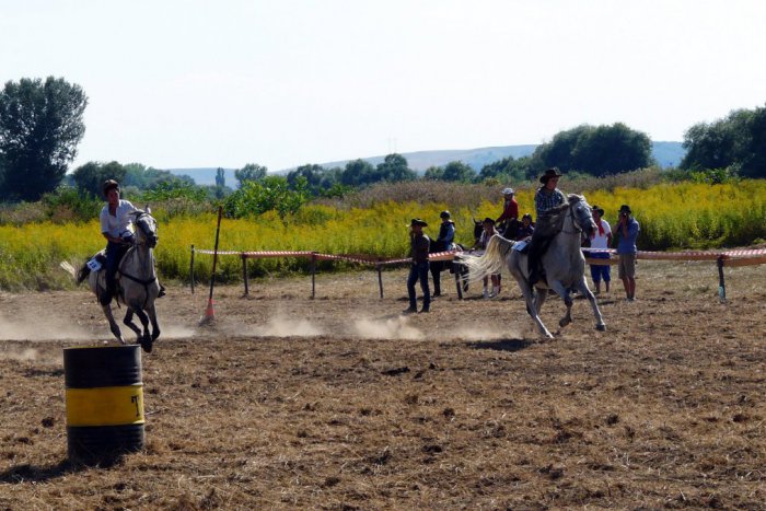 Ilustračný obrázok k článku V Trnovci zažijete divoký západ: Westernové preteky, ako sa patrí