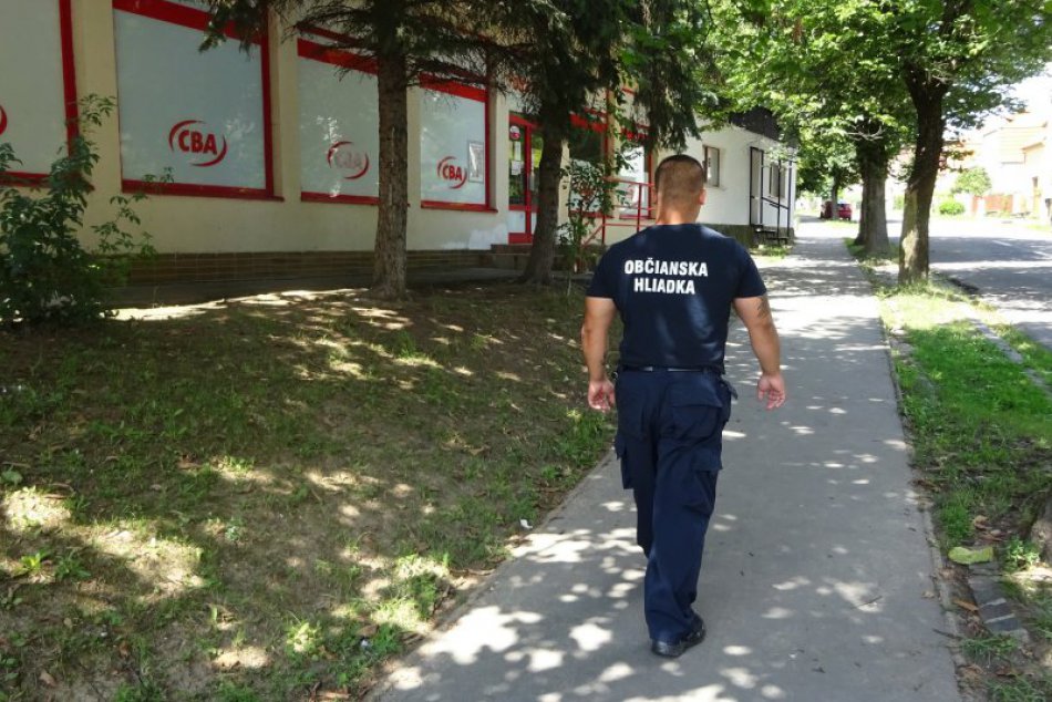 Ilustračný obrázok k článku FOTO: Miroslav zo zvolenskej občianskej hliadky začul krik. Neváhal a konal