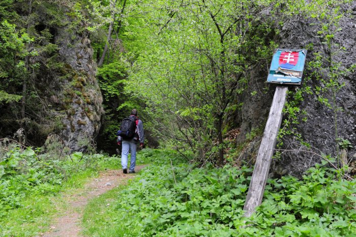 Ilustračný obrázok k článku Do Lipoviec prišli dobrovoľníci z 8. krajín sveta: Pomáhajú zachrániť hrad