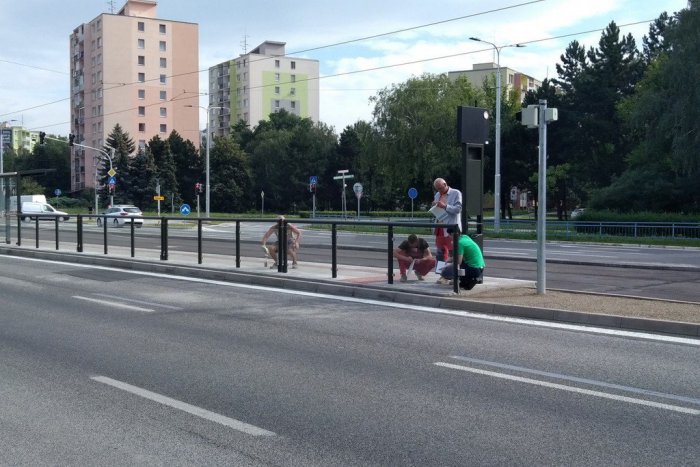 Ilustračný obrázok k článku Už vylepujú bezpečnostné nálepky, aby vtáci nehynuli