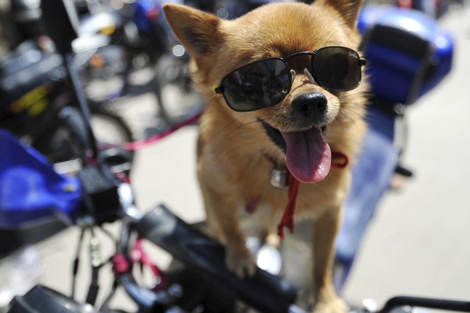 Ilustračný obrázok k článku Spravodajský sumár: Tieto témy z nášho mesta vás cez týždeň zaujali najviac