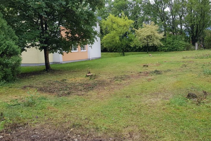 Ilustračný obrázok k článku Správa, ktorá poteší najmä rodičov: Pri známej mikulášskej základke vznikne nové parkovisko