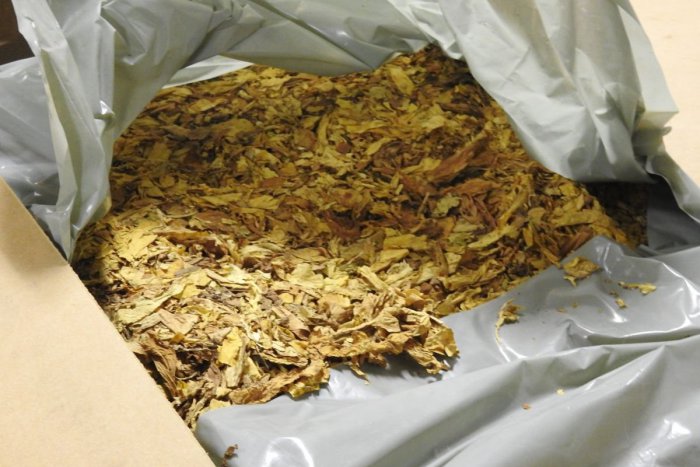 Ilustračný obrázok k článku SVET O SLOVENSKU: Nechal sa zavrieť za smiešnu sumu