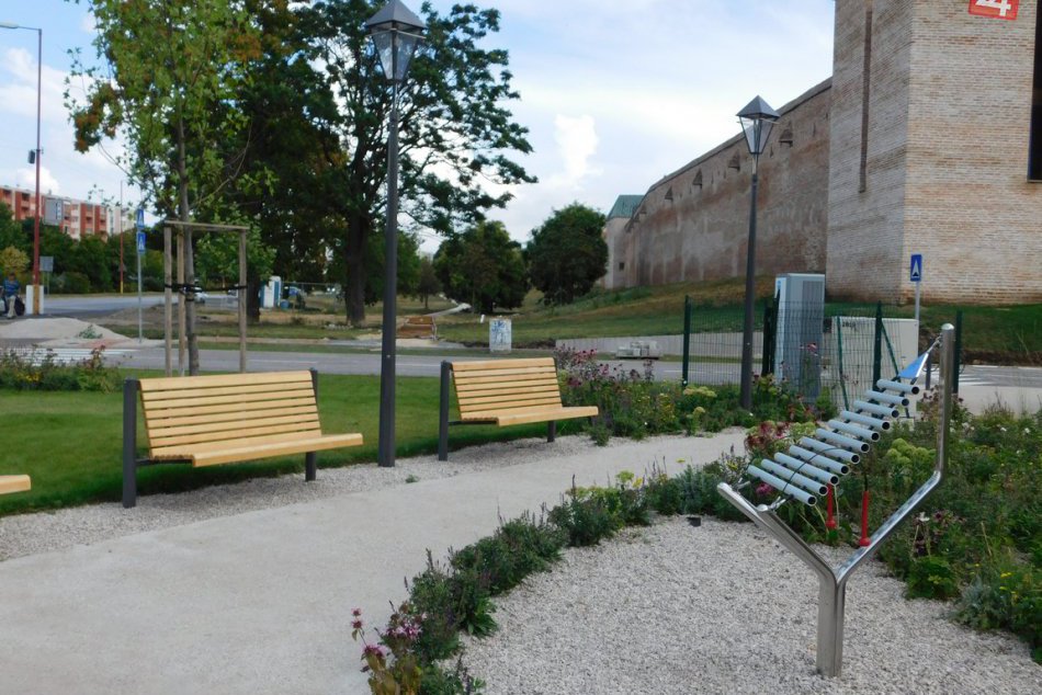 Ilustračný obrázok k článku Bročka odpovedá na petíciu proti výrubu:  Stromy pri hradbách boli nevyhovujúce