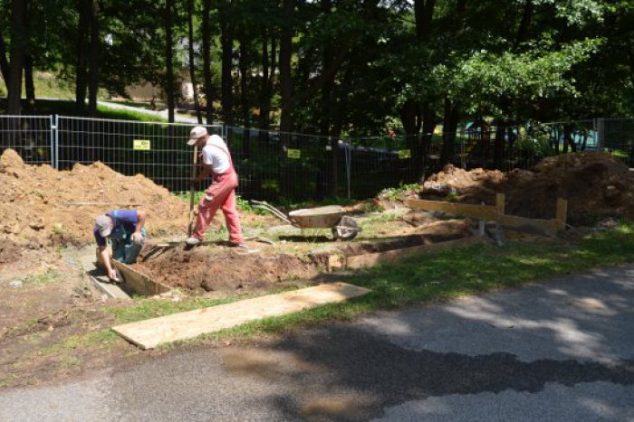 Ilustračný obrázok k článku V zoo stavajú voliery pre rehabilitované vtáky