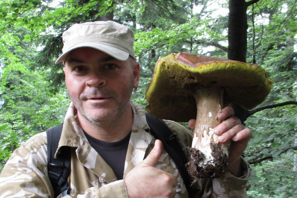 Ilustračný obrázok k článku Má nos na hríby: Ján z Krompách ich za sezónu vie nazbierať tisíce