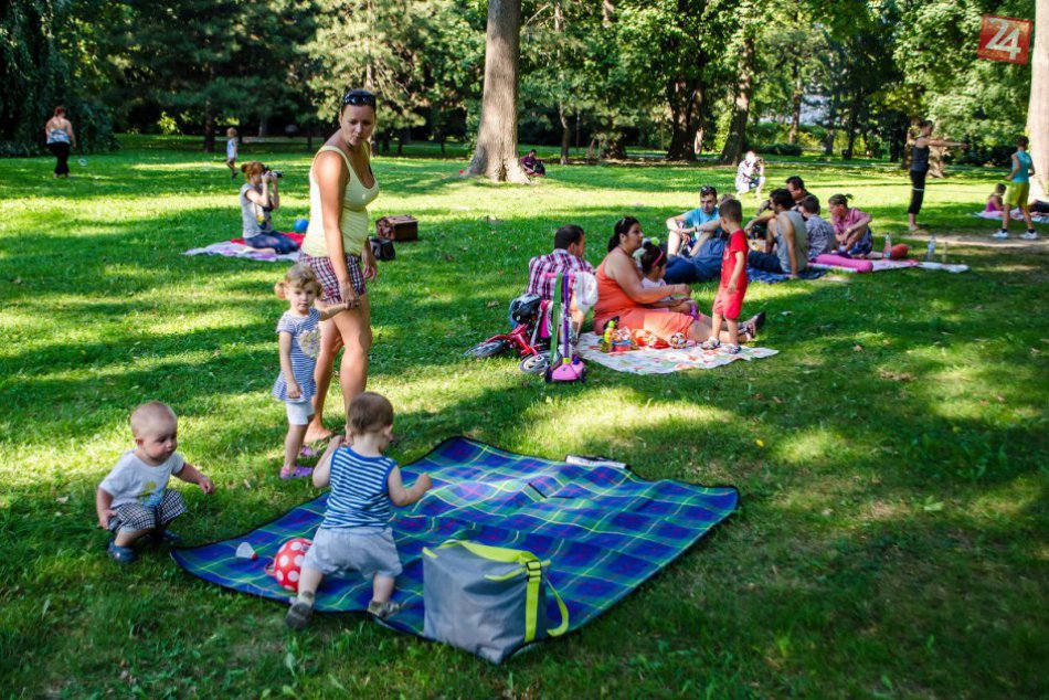 Ilustračný obrázok k článku Oddychujte pod korunami stromov v najkrajších bratislavských parkoch a záhradách