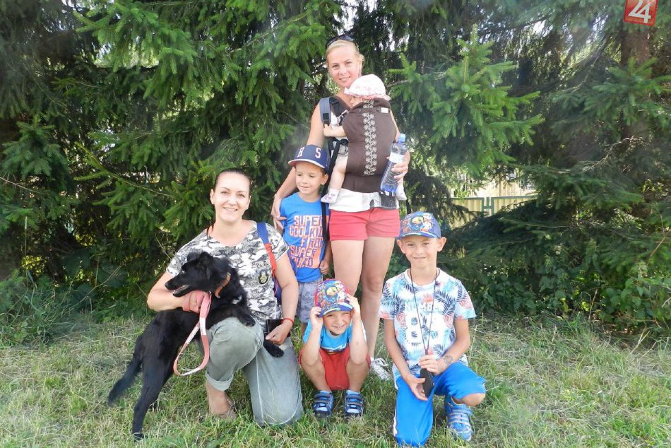 Ilustračný obrázok k článku V popradskom útulku bolo rušno: Večer otvorených dverí prilákal mnoho návštevníkov