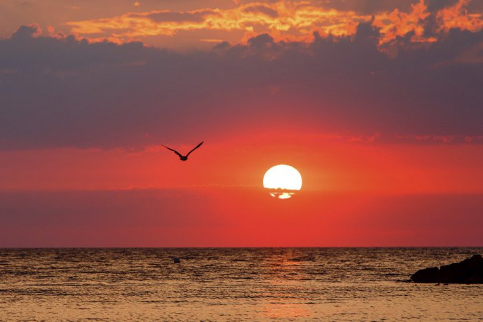 Ilustračný obrázok k článku RANNÁ ŠTVORKA: V posledný augustový deň hrozia búrky, meniny má Nora