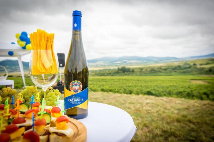 Ilustračný obrázok k článku Unikátna augustová potulka bude venovaná vínu