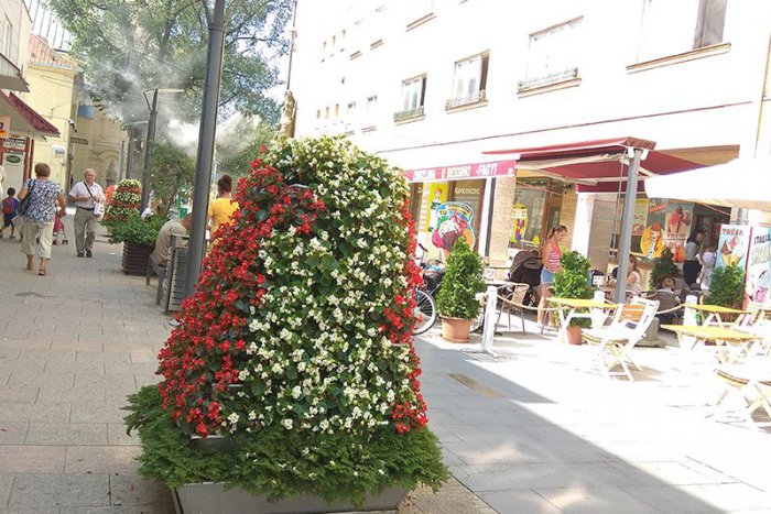 Ilustračný obrázok k článku Najklikanejšie témy týždňa: 5 udalostí, ktoré vás počas týždňa zaujali najviac