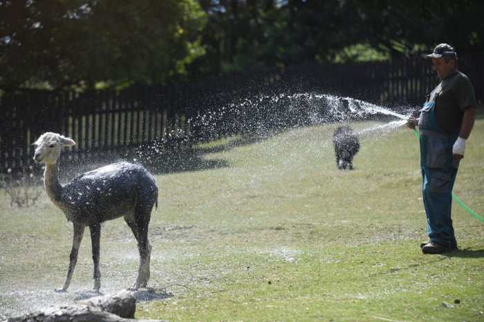 Ilustračný obrázok k článku RANNÁ ŠTVORKA: Sobota bude slnečná, pripomíname si Deň Matice slovenskej