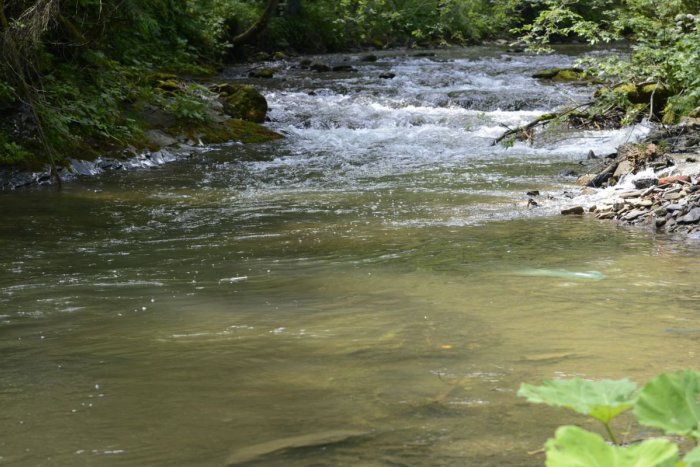 Ilustračný obrázok k článku Česká rodina uviazla v Západných Tatrách: Cestu jej zahatal rozvodnený potok