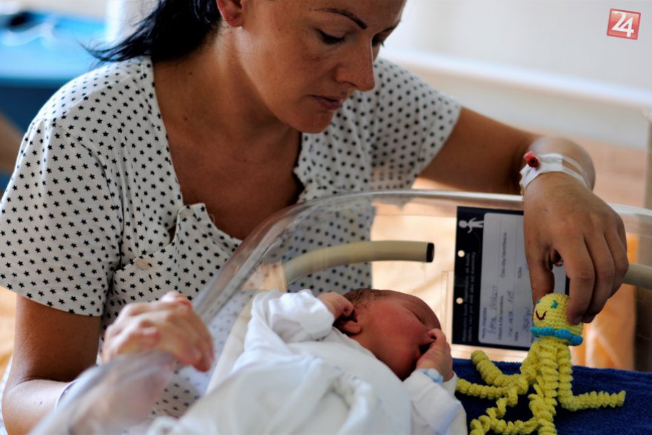 Ilustračný obrázok k článku Bábätká budú mať milých spoločníkov: Vo zvolenskej nemocnici dostanú háčkované chobotničky