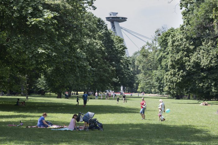 Ilustračný obrázok k článku Mesto na otázky vo veci Sadu Janka Kráľa nereaguje. Zeleň je pritom jednou z jeho priorít