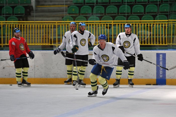 Ilustračný obrázok k článku Poznáme ďalšie mená domáceho hokejového kádra: Nové posily žilinských vlkov