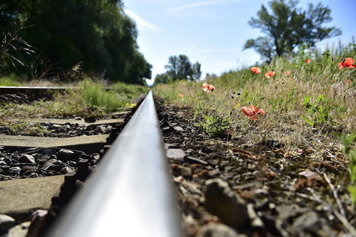 Ilustračný obrázok k článku Obľúbený Záhoráčik pomáha zatraktívniť Záhorie domácim aj zahraničným turistom