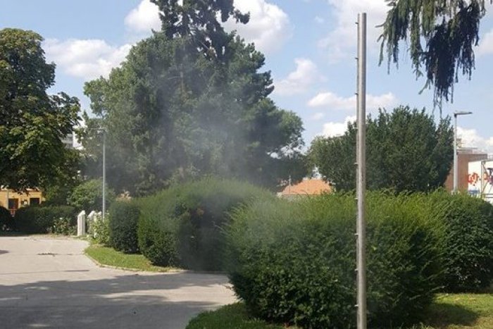 Ilustračný obrázok k článku Príjemné osvieženie počas horúcich dní: V parku pri kostole pribudol „hmlový stĺp“