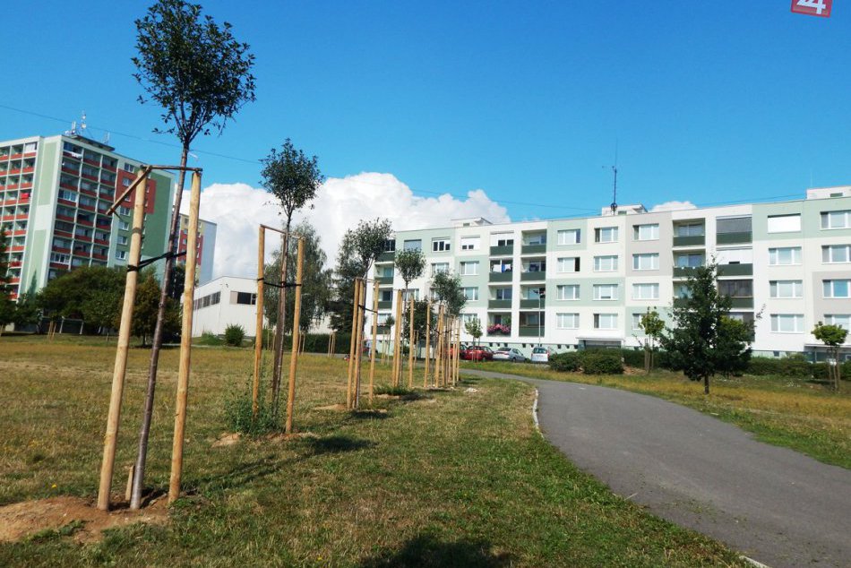 Ilustračný obrázok k článku Už vieme, o ktoré ide: TOTO je najobľúbenejšie nárečové slovo v Žiari!