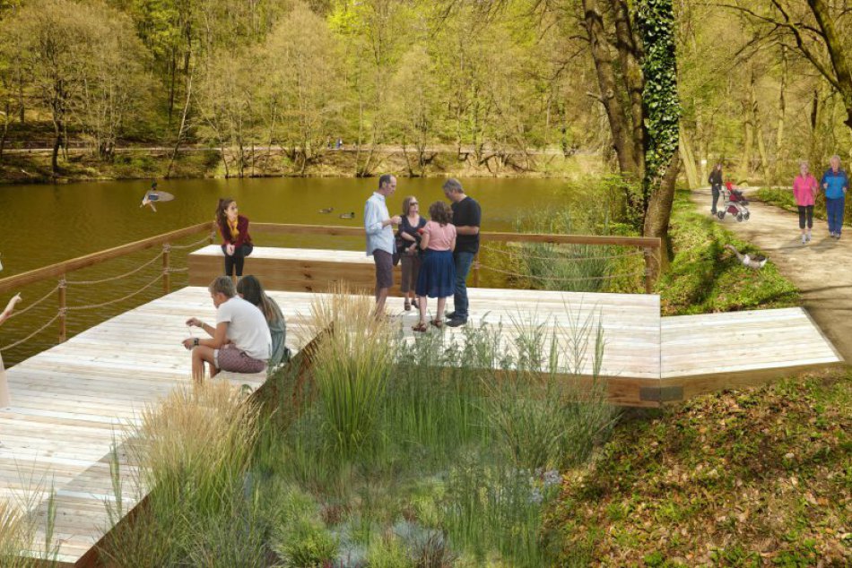 Ilustračný obrázok k článku Dočkajú sa Bratislavčania lesov bez ťažby dreva?