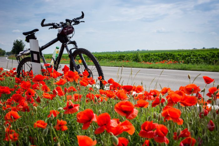 Ilustračný obrázok k článku Vytiahnite dvojkolesových tátošov: Novozámčania si užijú nočnú cyklojazdu