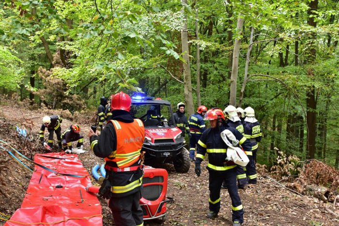 Ilustračný obrázok k článku Hasiči zasahujú pri požiari lesa, horí blízko štátnej cesty
