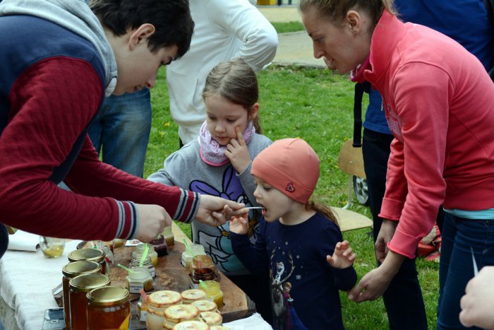 Ilustračný obrázok k článku Medový deň v mestských lesoch prinesie ochutnávku medov, medového piva aj výstavu úľov