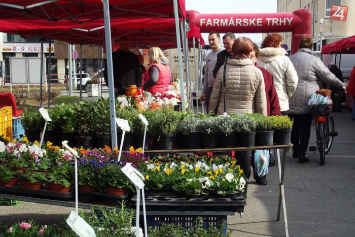 Ilustračný obrázok k článku Domáci pestovatelia si dajú pauzu: Na Farmárskych trhoch nakúpite až v septembri