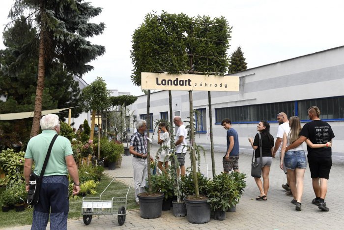 Ilustračný obrázok k článku Záhradkári sa v Trenčíne rozlúčia s letom na známom veľtrhu: Aké známe osobnosti tam vystúpia? VIDEO