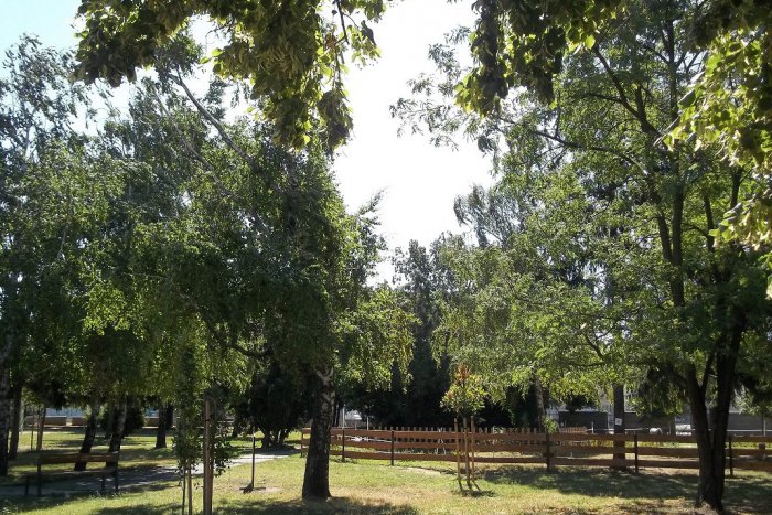 Ilustračný obrázok k článku Prichádzajú redakčné tipy na víkend: Čomu dáte v Šali a okolí prednosť?