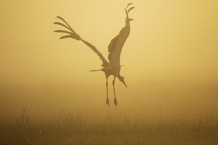 Ilustračný obrázok k článku RANNÁ ŠTVORKA: Štvrtok bude slnečný s teplotami do 26 °C, meniny má Alica