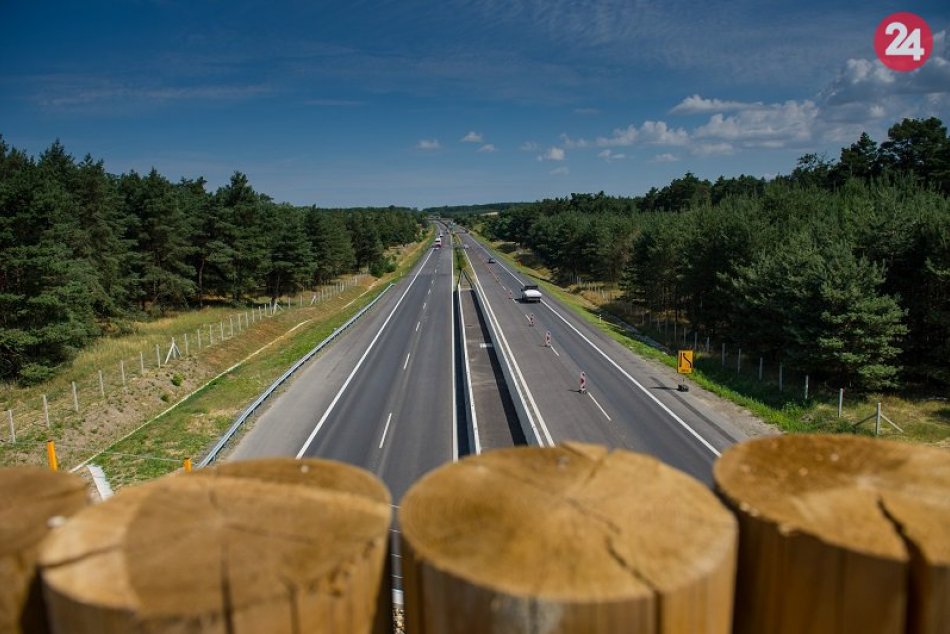 Ilustračný obrázok k článku Desiatky medveďov skončili pri smrtonosných poliach: Pribudnú nové ekodukty?