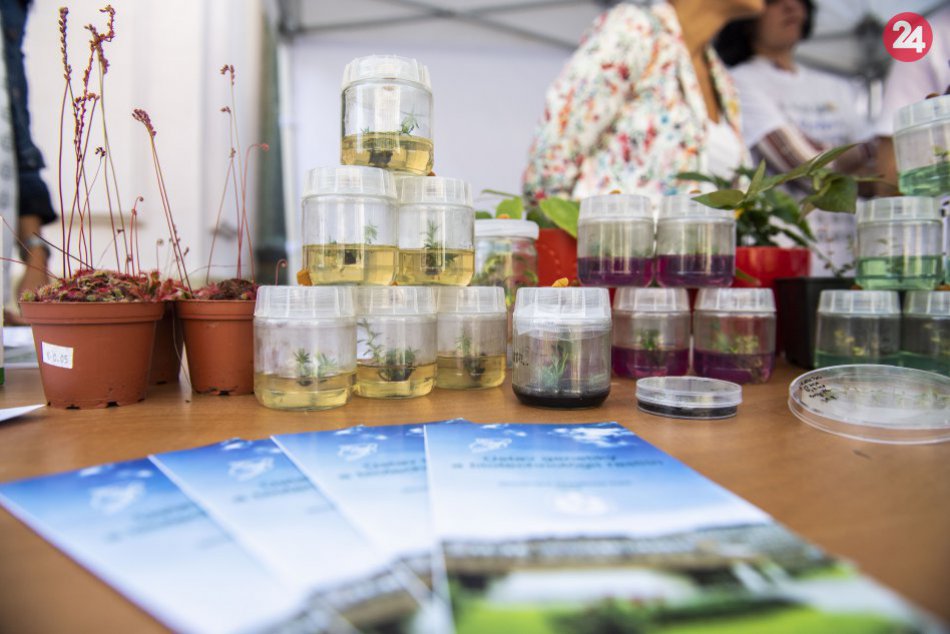 Ilustračný obrázok k článku Nečinnosť ministerstva pri registrácii SAV? Generálna prokuratúra podala upozornenie