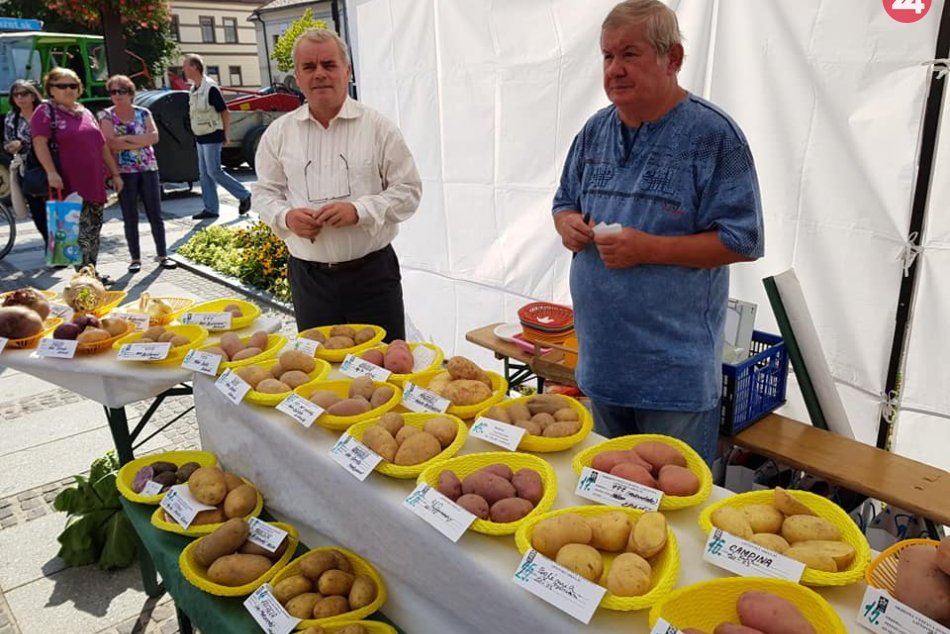 Ilustračný obrázok k článku Švábkafest v Mikuláši: Pozrite si, čo sa chystá tento rok